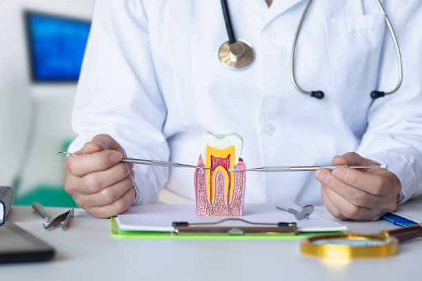 Best Orthodontic Emergency Dentist in Charles Town, WV